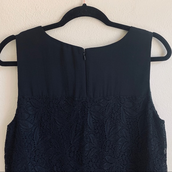 Cupcakes & Cashmere Candytuft Lace Shift Dress - Picture 5 of 6